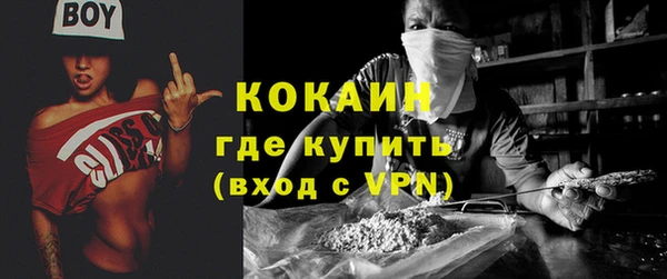 прущие грибы Бугульма