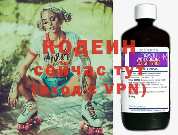 метадон Богданович