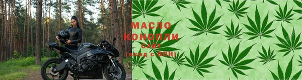 метадон Богданович