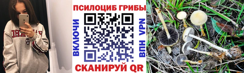 Псилоцибиновые грибы мицелий  Олёкминск 